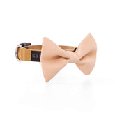 COLLAR DE CORBATÍN / BÁSICO DORADO